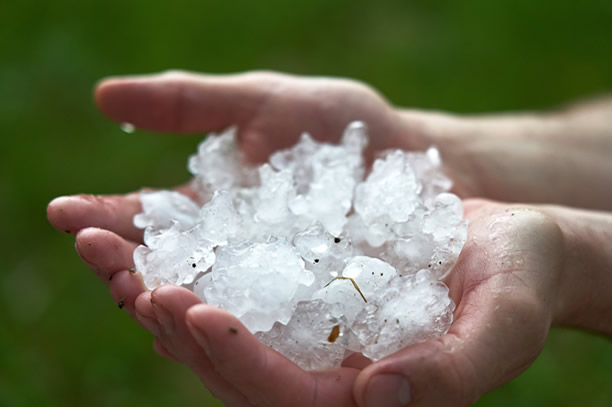  Hail Storm Leads