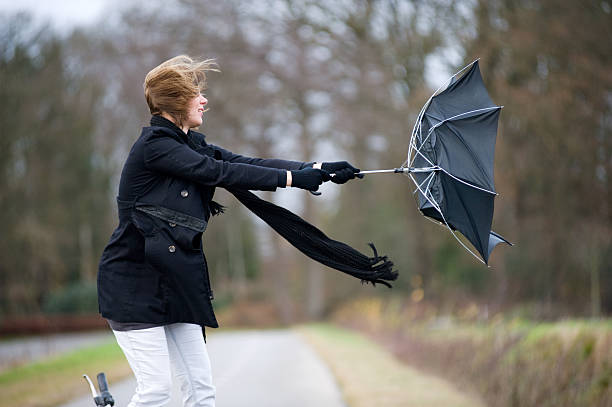  Wind Storm Leads